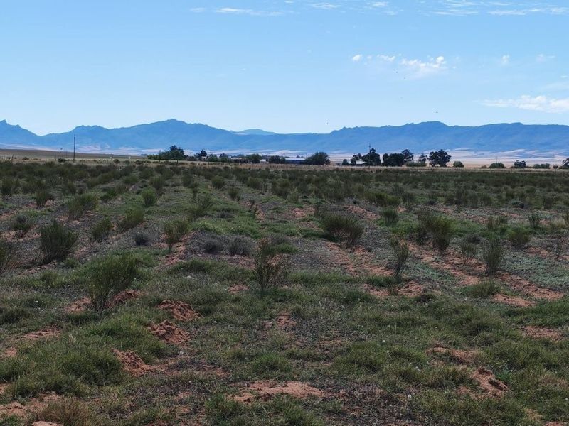 Expansive rural landscape view featuring open farmland with distant mountain ranges under a clear blue sky.