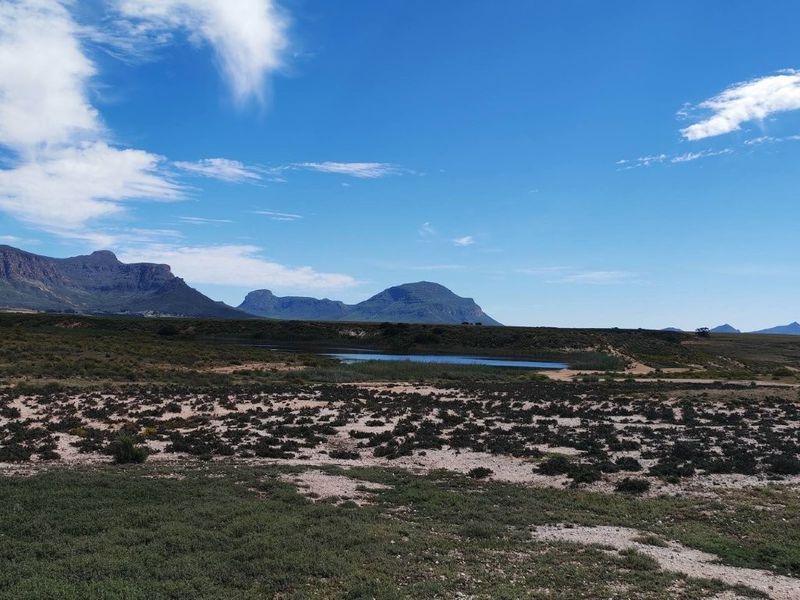 A scenic landscape view of the farm featuring natural vegetation, a small dam, and distant mountain ranges under a clear blue sky.