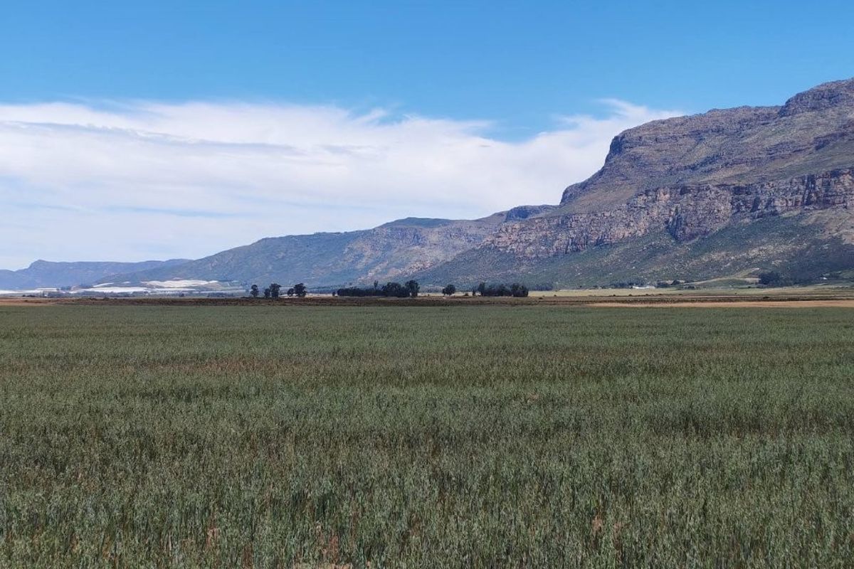 Expansive view of open agricultural farmland set against a dramatic mountain range backdrop.