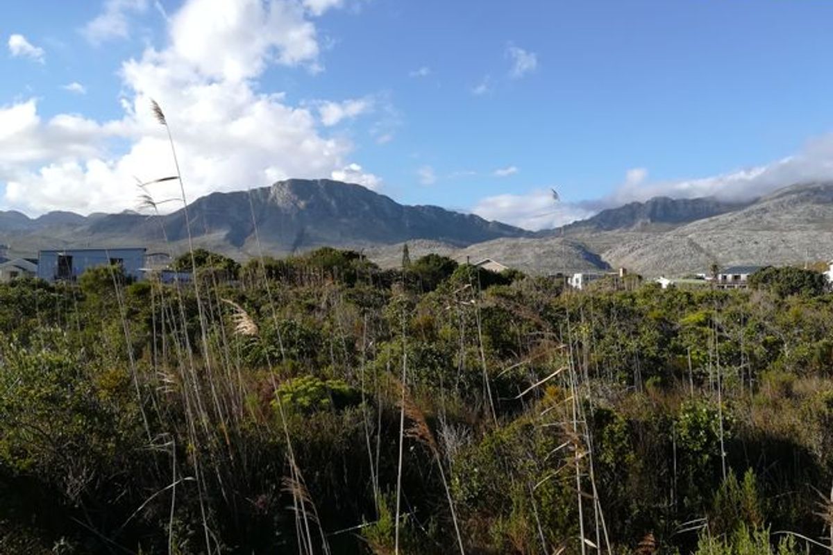 Pringle Bay Property with Incredible Mountain Views and Natural Beauty for Sale - Photo 5