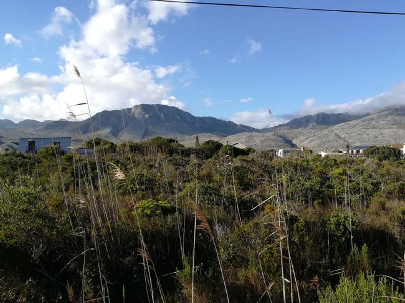 Pringle Bay Property with Incredible Mountain Views and Natural Beauty for Sale - Photo 5