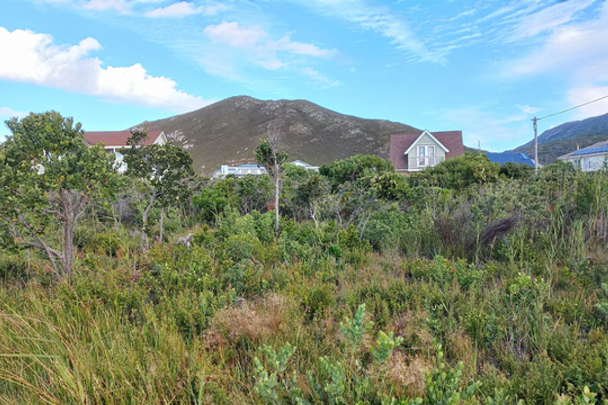 Pringle Bay Property with Incredible Mountain Views and Natural Beauty for Sale - Photo 3