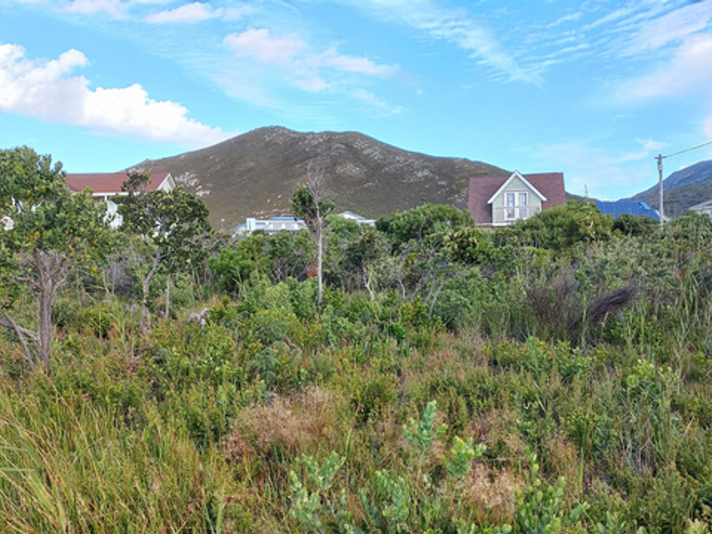 Pringle Bay Property with Incredible Mountain Views and Natural Beauty for Sale - Photo 3