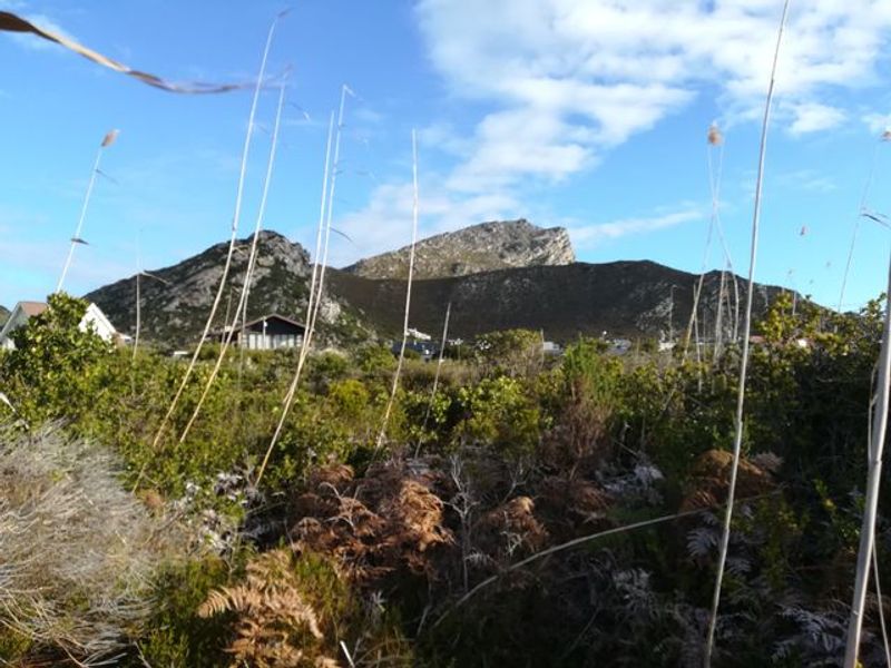 Pringle Bay Property with Incredible Mountain Views and Natural Beauty for Sale - Photo 8