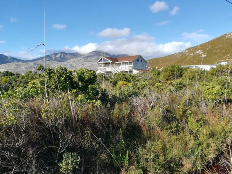 Pringle Bay Property with Incredible Mountain Views and Natural Beauty for Sale - Photo 7