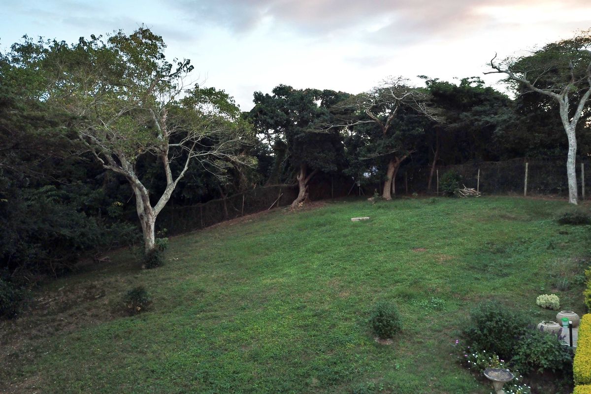 Prime Elevated Stand with Approved Plans and Spectacular Sea Views - Photo 3