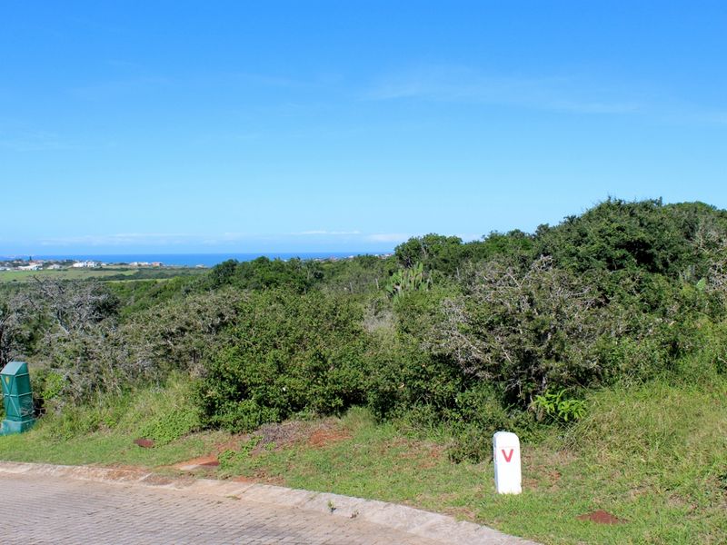 Nature, Wildlife and Exceptional Views in a Gated Port Alfred Estate - Photo 10
