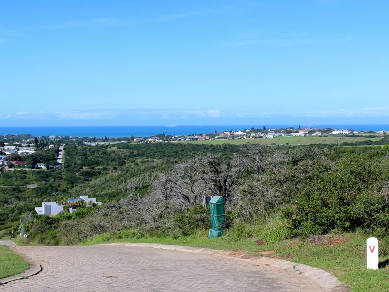 Nature, Wildlife and Exceptional Views in a Gated Port Alfred Estate - Photo 7