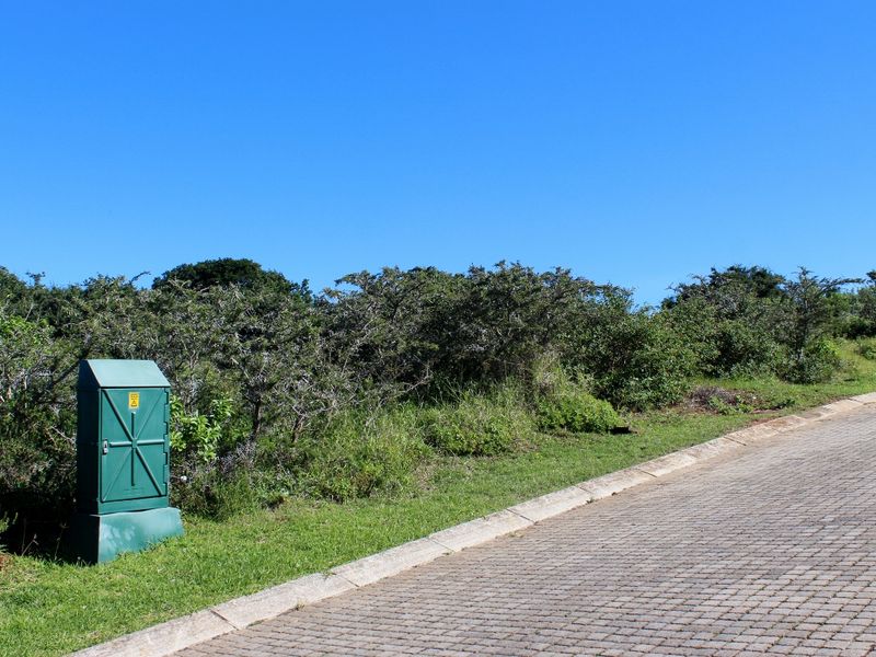 Nature, Wildlife and Exceptional Views in a Gated Port Alfred Estate - Photo 8
