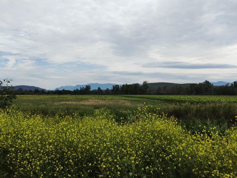 A scenic view of the farm property featuring expansive agricultural fields, a vineyard, and distant mountain ranges under a cloudy sky.