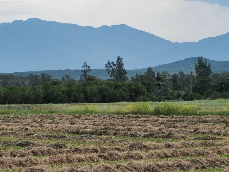 A scenic view of the farm landscape featuring harvested hay fields, lush green vegetation, and majestic mountain ranges in the background.