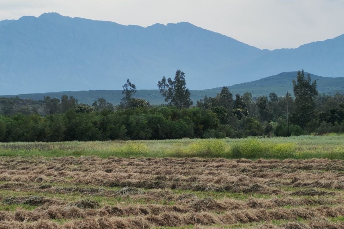 A scenic view of the farm landscape featuring harvested hay fields, lush green vegetation, and majestic mountain ranges in the background.