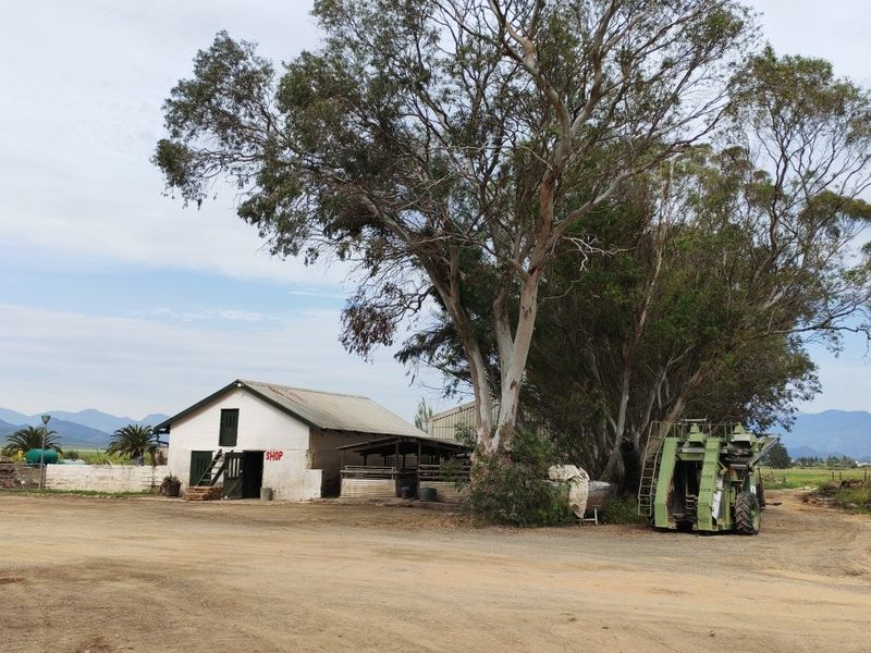 Exterior view of a farm building with a corrugated metal roof and masonry walls, situated on a dirt driveway with mature trees.