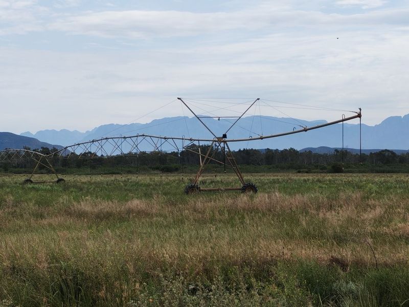 A large agricultural field featuring a center pivot irrigation system with mountain views in the background.