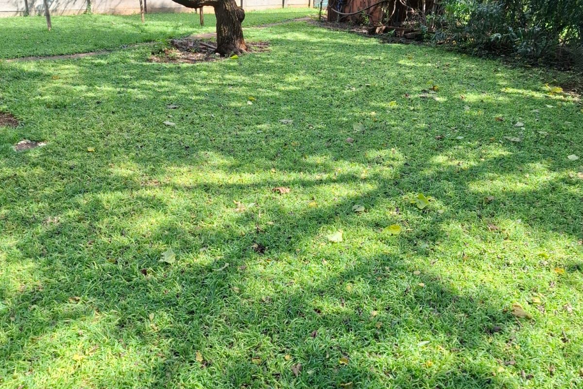 2 BEDROOM HOUSE TO LET - Photo 4