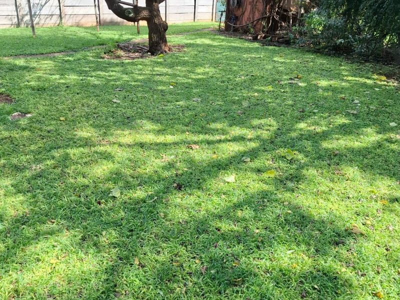 2 BEDROOM HOUSE TO LET - Photo 4