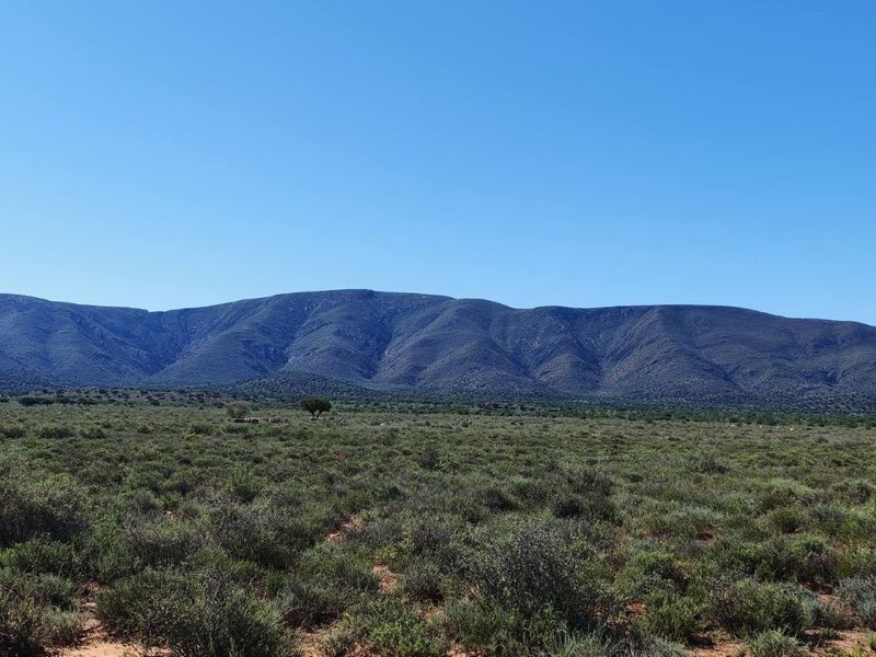 Expansive landscape view featuring natural veld vegetation and a prominent mountain range in the background.