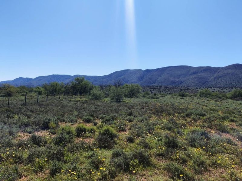 Expansive rural landscape view featuring natural vegetation, open fields, and distant mountain ranges under a clear blue sky.