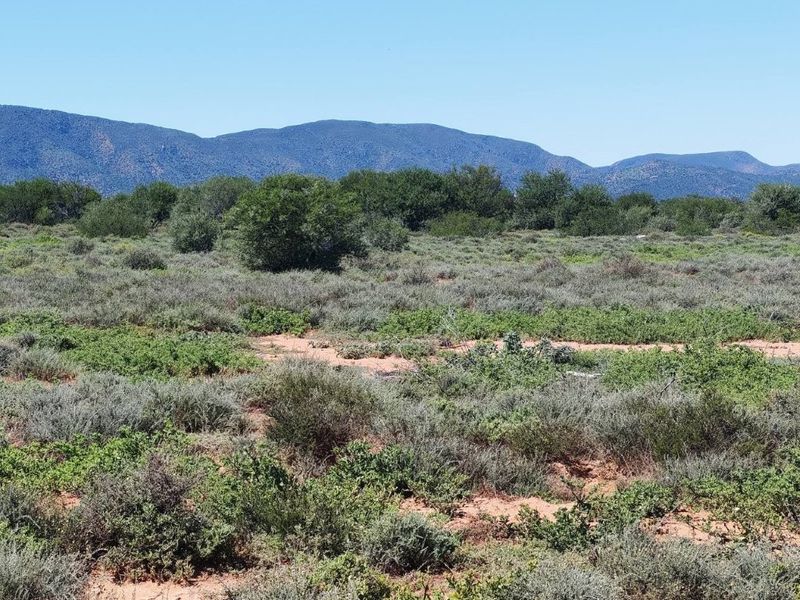 A scenic view of the expansive farm landscape featuring natural indigenous vegetation and a prominent mountain range in the background.
