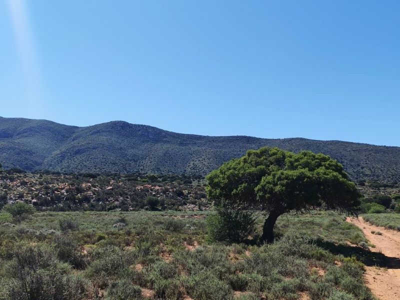 A scenic view of the expansive farm landscape featuring natural vegetation, a mature tree, and a mountain range in the background.