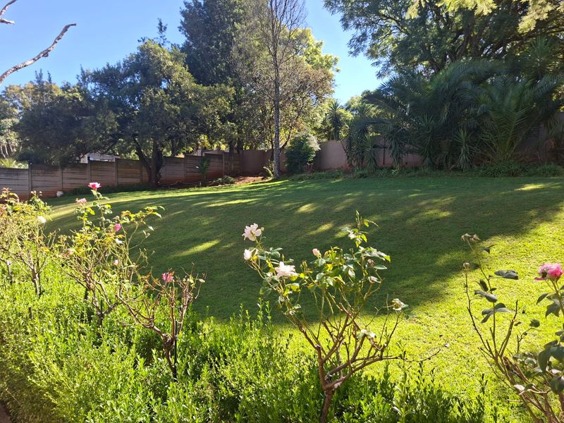 Your Forever Family Home in Lower Signal Hill - Photo 5