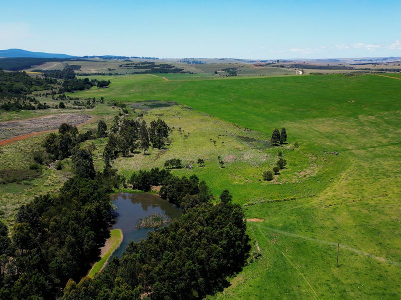 An aerial view of the expansive farm property featuring open grazing pastures, established trees, and a natural farm dam.