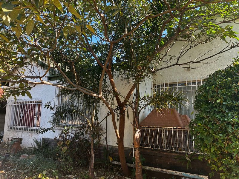 Pre-Hammer Opportunity – Secure Before Auction! Free standing home in Marlands - Photo 4