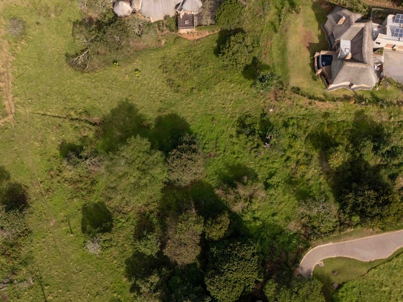 An Idyllic Setting to Build Your Forever Home - Photo 8