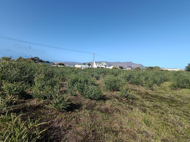Vacant Land for Sale in Fisherhaven, Hermanus - Photo 9