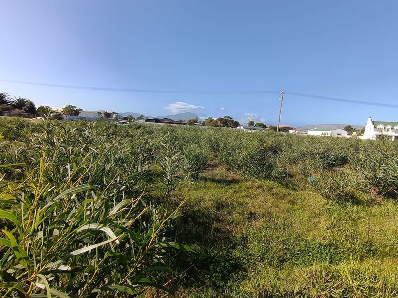 Vacant Land for Sale in Fisherhaven, Hermanus - Photo 6