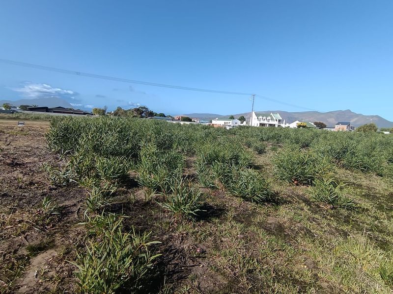 Vacant Land for Sale in Fisherhaven, Hermanus - Photo 7