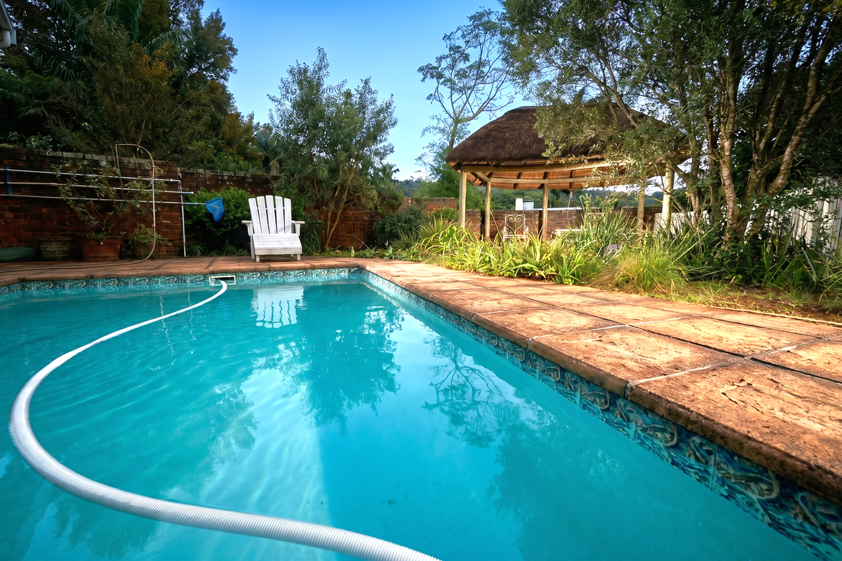 Stunning Large Family Home with Flat in Chase Valley Heights - Photo 3