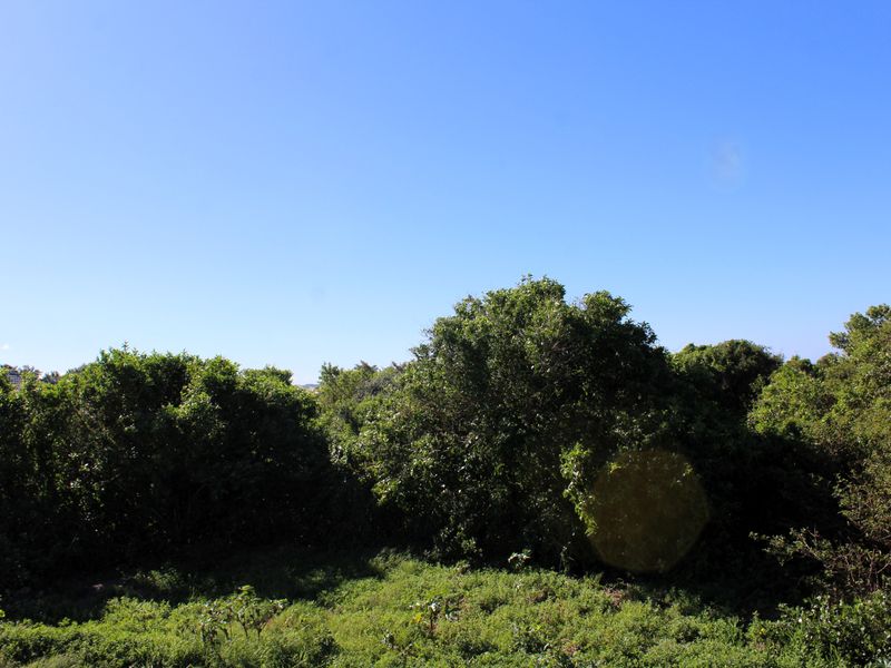 Exceptional piece of vacant land for Sale in Port Alfred - Photo 8