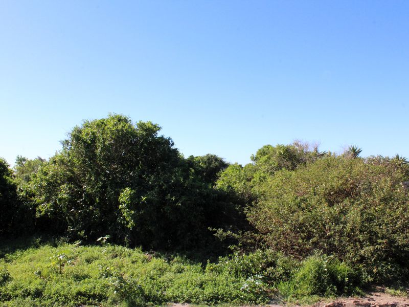 Exceptional piece of vacant land for Sale in Port Alfred - Photo 7