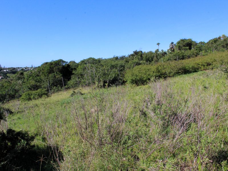 Land for Sale in Riverside Waterfront Estate in Port Alfed - Photo 7