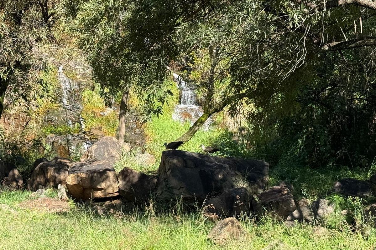 Build Your Dream Home in Prestigious Rockcliff Estate 🌿🏡 - Photo 5