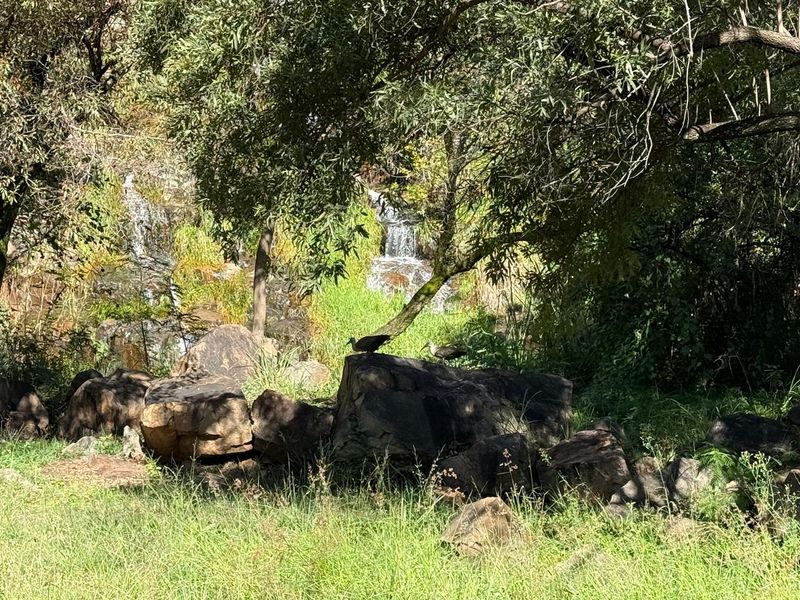 Build Your Dream Home in Prestigious Rockcliff Estate 🌿🏡 - Photo 5