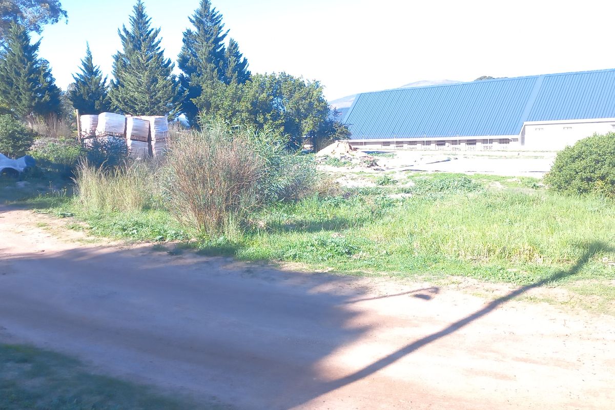 A view of a vacant residential plot featuring a dirt road access, mature trees, and a large metal shed structure in the background.