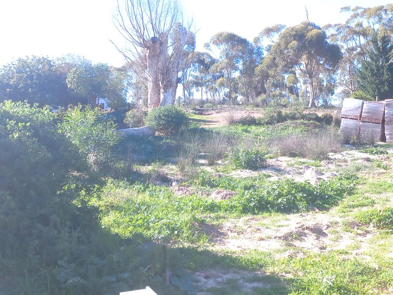 A view of a vacant residential plot featuring established trees, natural vegetation, and a partial brick foundation structure.
