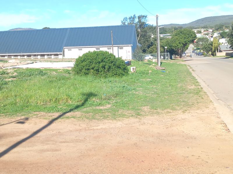 A street-level view of the vacant residential land, showing the adjacent road, verge, and surrounding neighbourhood context.