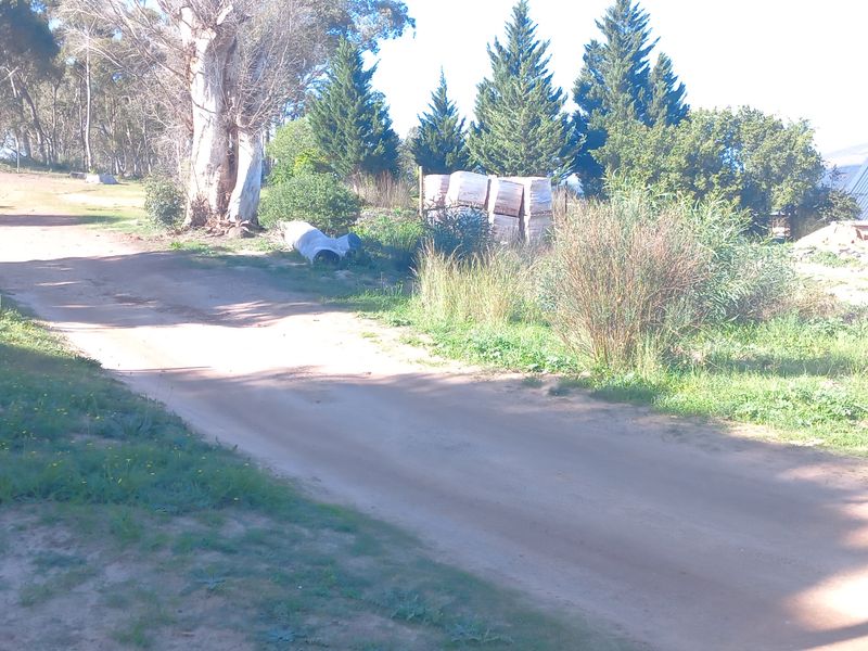 A view of a vacant residential plot featuring a dirt driveway, established trees, and surrounding vegetation.