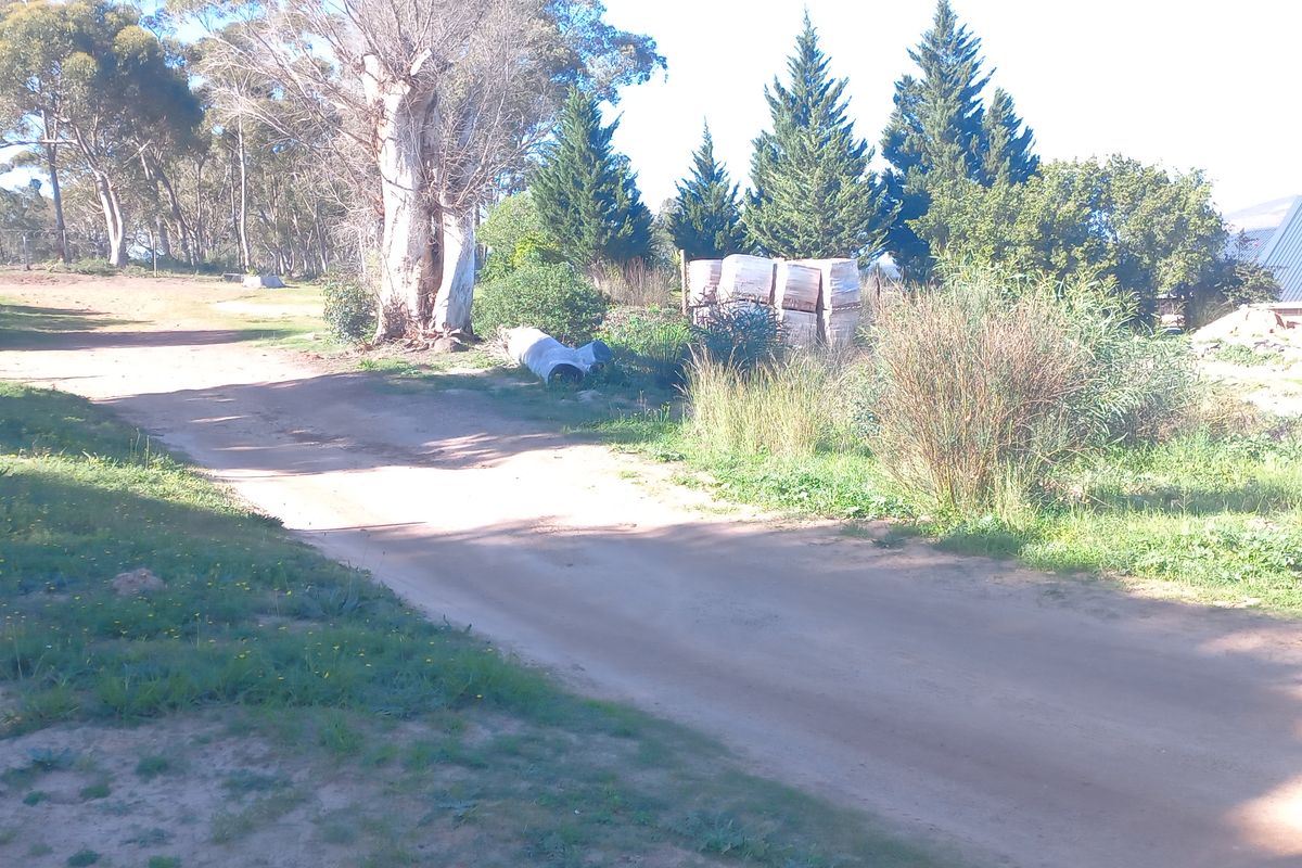 A view of a vacant residential plot featuring natural vegetation, mature trees, and an unpaved access track.