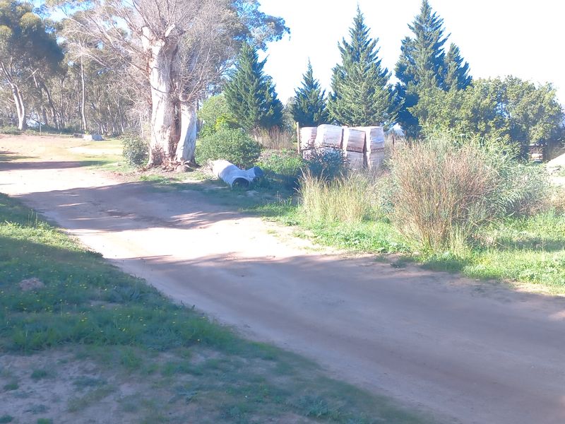 A view of a vacant residential plot featuring natural vegetation, mature trees, and an unpaved access track.