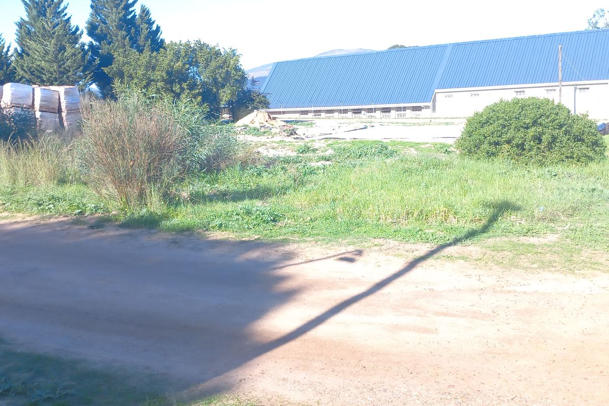 A view of a vacant residential plot featuring natural grassland and access from a dirt road.