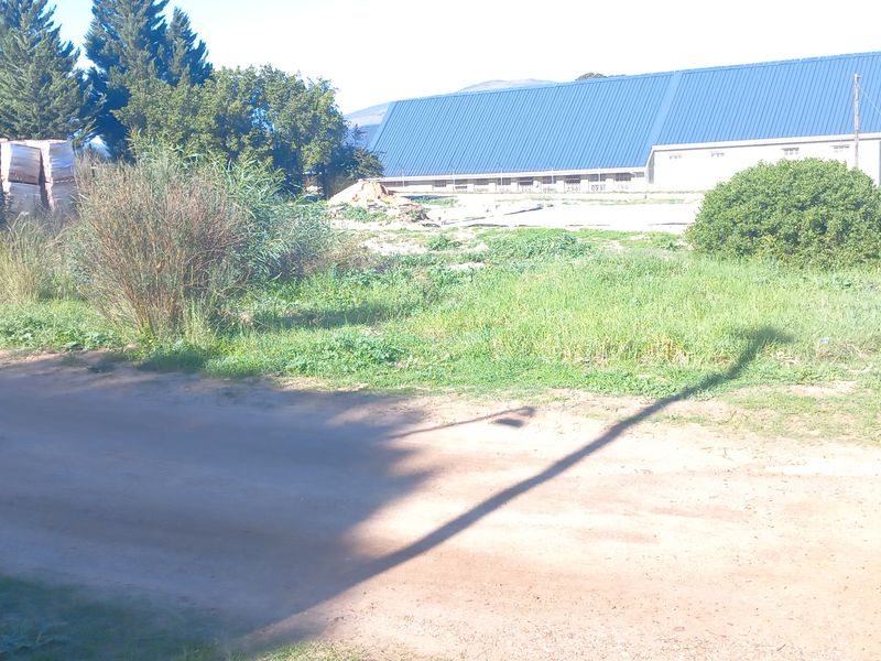 A view of a vacant residential plot featuring natural grassland and access from a dirt road.