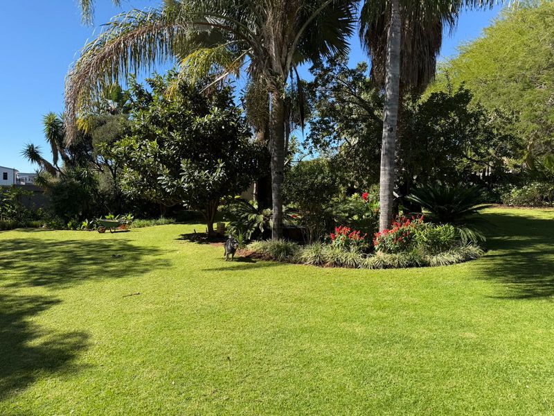 A well-maintained, lush green garden featuring mature palm trees and established landscaped garden beds.