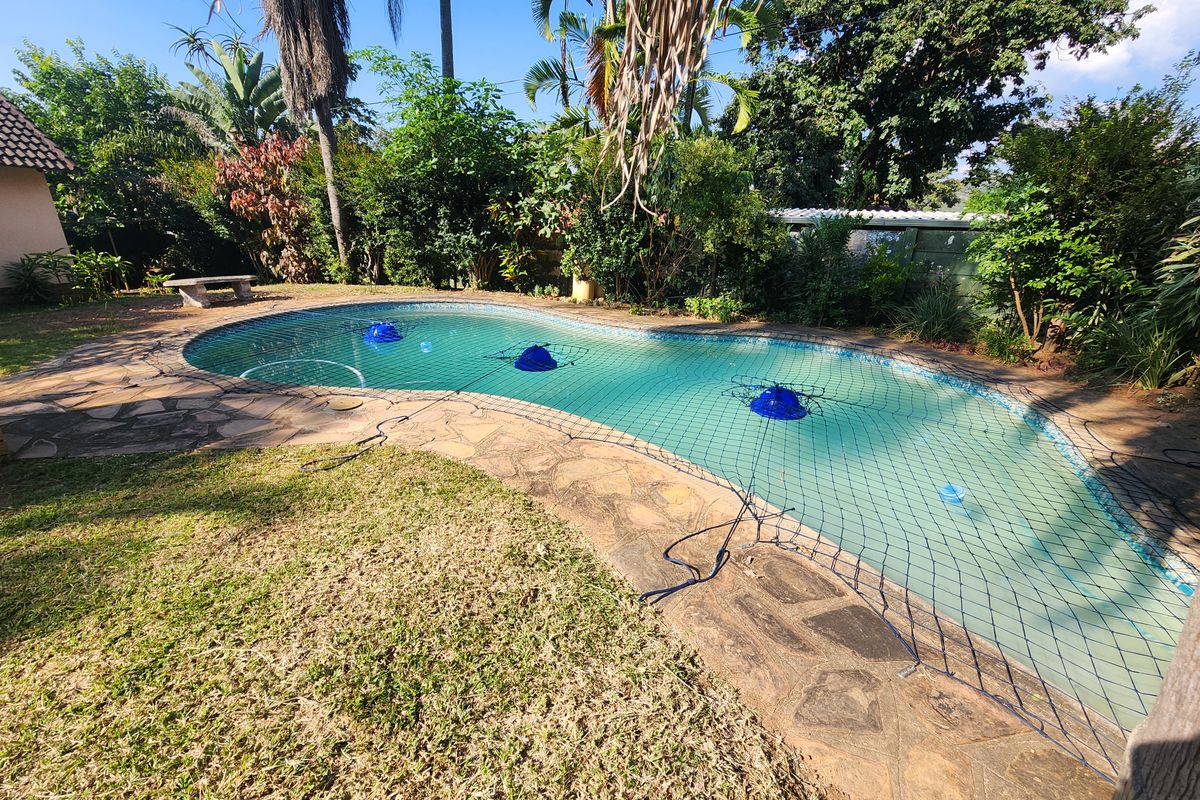 Neat, well situated and priced, 3 bedroom house with pool -up for grabs! - Photo 2