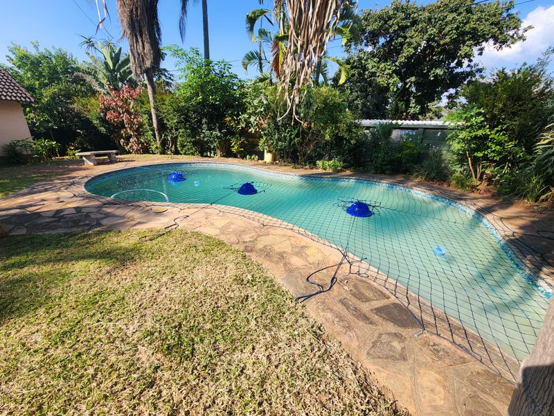 Neat, well situated and priced, 3 bedroom house with pool -up for grabs! - Photo 2