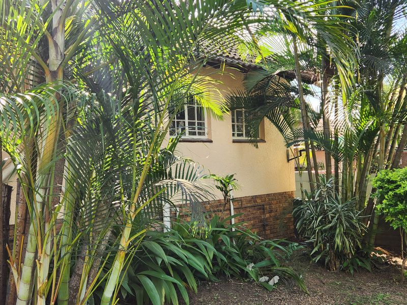 Neat, well situated and priced, 3 bedroom house with pool -up for grabs! - Photo 1