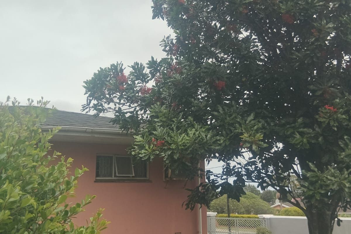 A view of the side exterior of the house featuring a pink facade, brick base, and a large flowering tree in the garden.